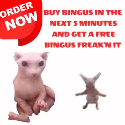 Bingus Ad